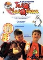 'Журнал Как устроено тело человека