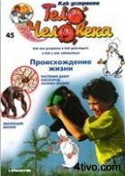 'Журнал Как устроено тело человека