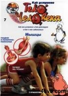 Журнал "Как устроено тело человека" №7