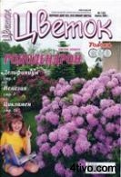 Цветок №7 (97) 2008