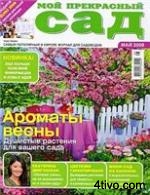 Мой прекрасный сад № 5 2008