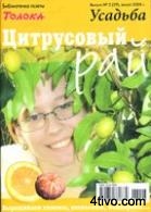'Цитрусовый