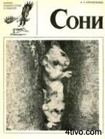 'Жизнь