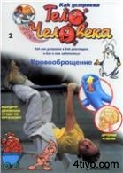 'Журнал Как устроено тело человека