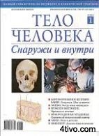 'Тело