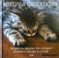 'Кошачья